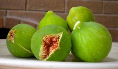 Figs as a remedy for the treatment of warts.