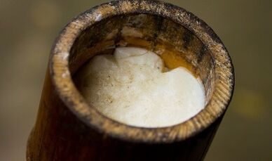 Tea tree oil to treat warts.